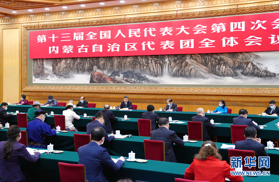 3月5日，中共中央總書記、國家主席、中央軍委主席習(xí)近平參加十三屆全國人大四次會議內(nèi)蒙古代表團(tuán)的審議。新華社記者 謝環(huán)馳 攝